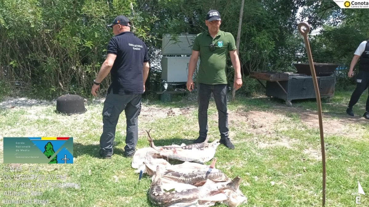 Garda de Mediu a aplicat amenzi de 230.000 de lei in Delta Dunarii, dupa ce a constatat mai multe nereguli. Video