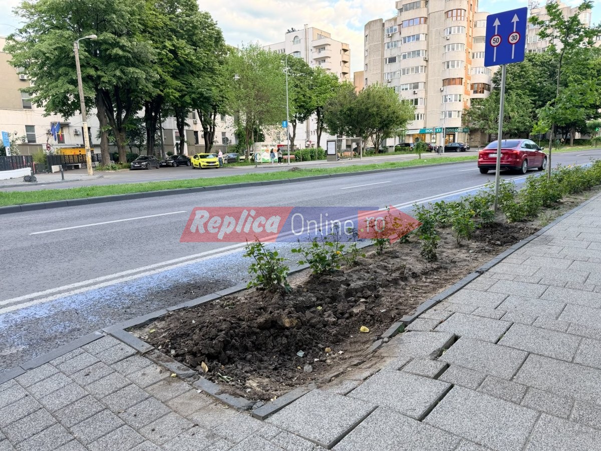 Ca sa termine de modernizat hotelul Millenium de pe bdul. Mamaia, familia Dusu a stricat trotuarul proaspat reabilitat. Video   
