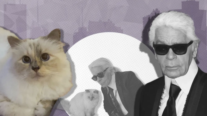 Pisica lui Karl Lagerfeld nu a primit niciun ban din moștenire, la 7 ani de la moartea designerului