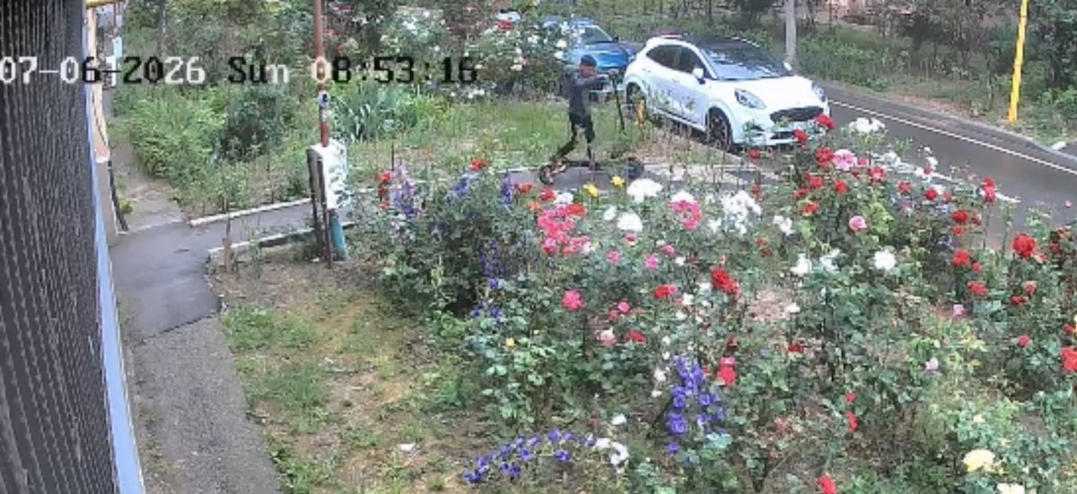 Povestea unui pagubit si investigator: i-a fost furata trotineta din fata blocului si si-a facut singur dreptate! Video Povestea unui pagubit si investigator: i-a fost furata trotineta din fata blocului si si-a facut singur dreptate! Video