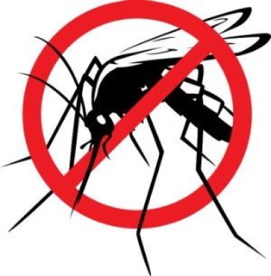 Primăria Cernavodă anunț despre tratamente pentru combaterea insectelor