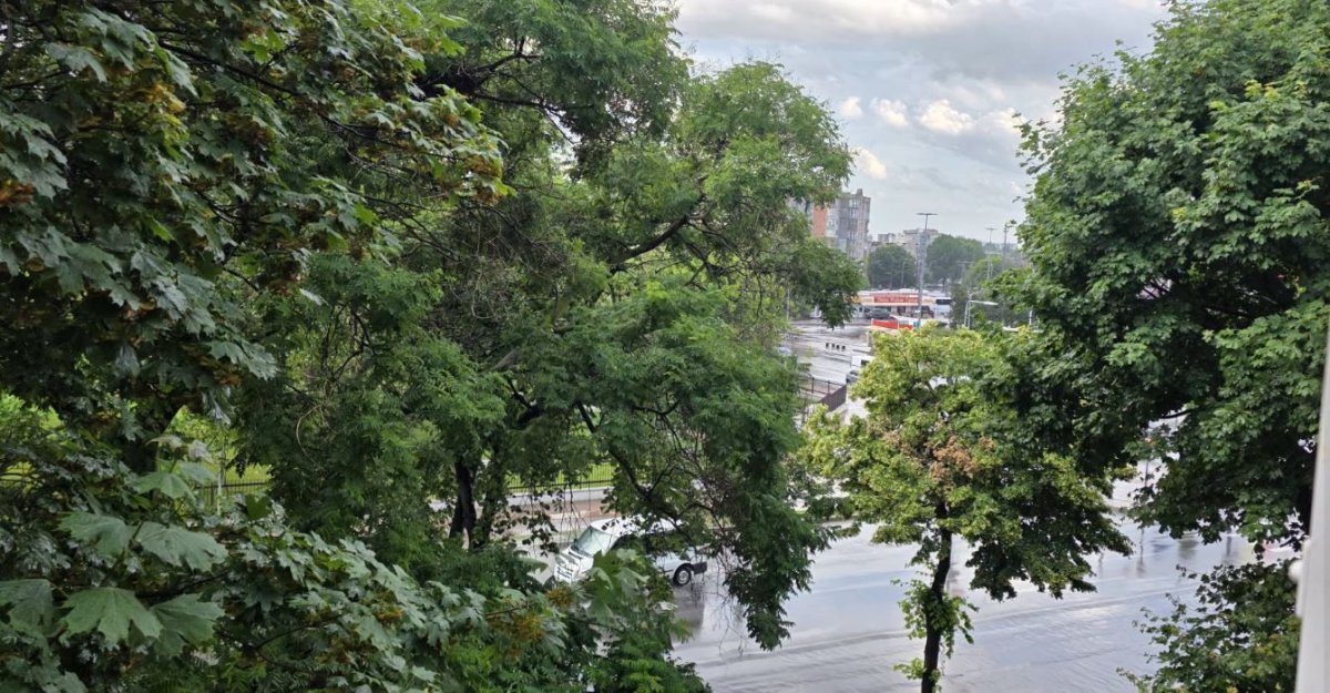 ANM anunta canicula si vijelii in mai multe zone din tara: Vor fi 35 de grade la umbra