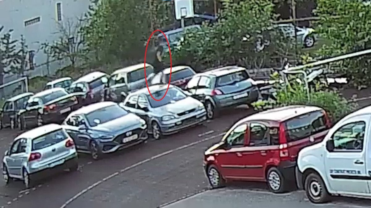 Daniel Baluta, avertisment catre parinti dupa distrugeri surprinse de camerele de supraveghere. Video Daniel Baluta, avertisment catre parinti dupa distrugeri surprinse de camerele de supraveghere. Video
