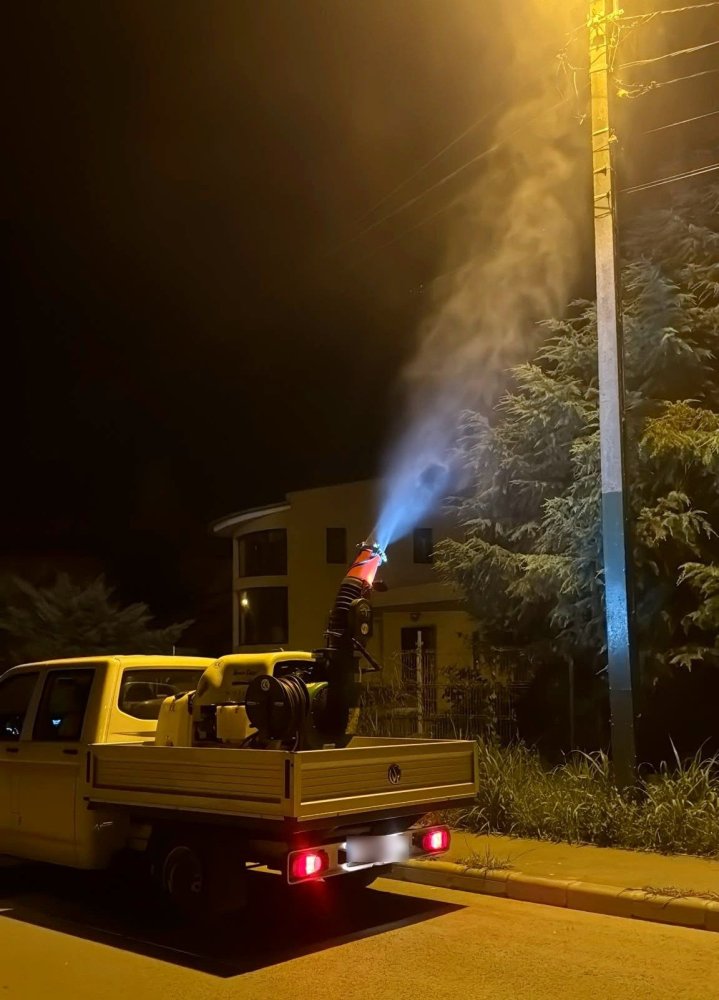 Primaria Municipiului Constanta continua interventiile pentru combaterea insectelor daunatoare