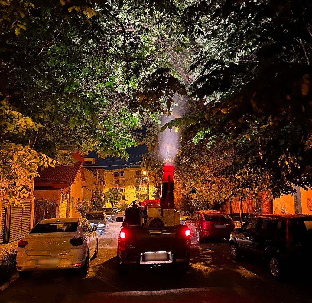 Primaria Municipiului Constanta continua interventiile pentru combaterea insectelor daunatoare