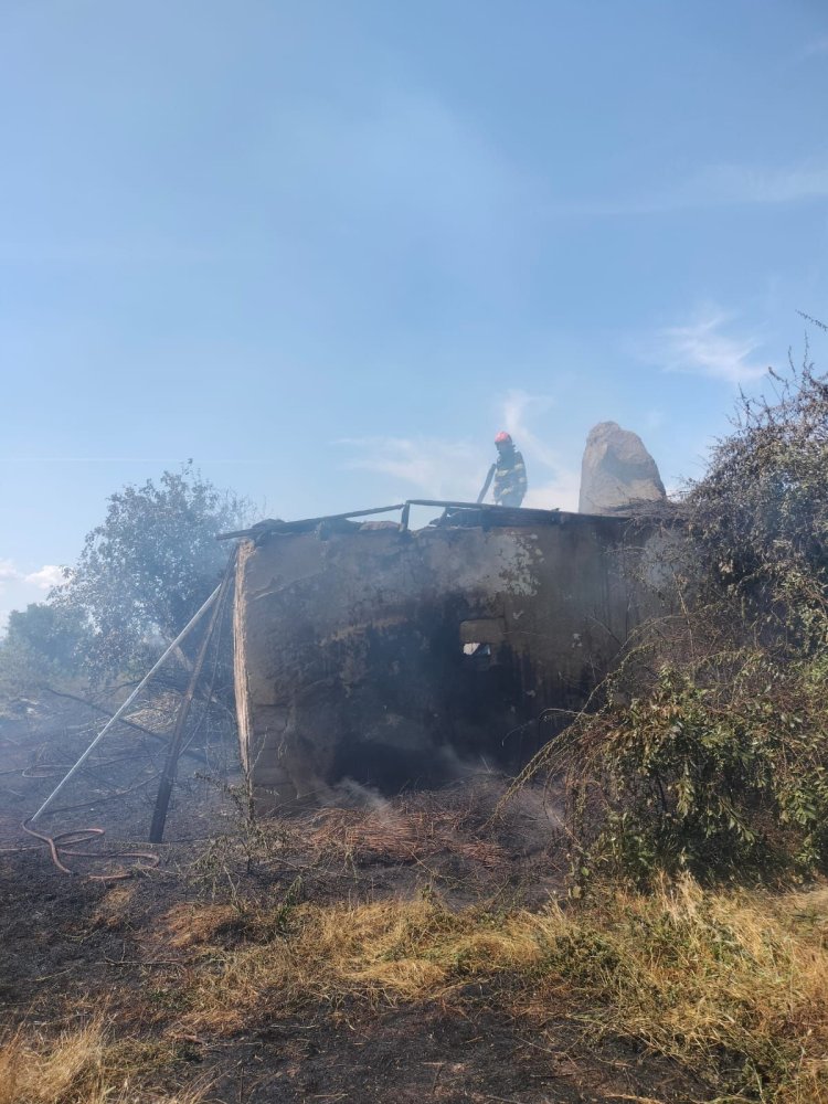 Incendiu de vegetatie uscata in localitatea Zebil, din Tulcea Incendiu de vegetatie uscata in localitatea Zebil, din Tulcea