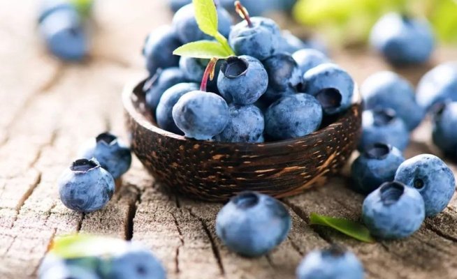 Afinele sălbatice au beneficii importante pentru sănătate. De ce le recomandă nutriționiștii