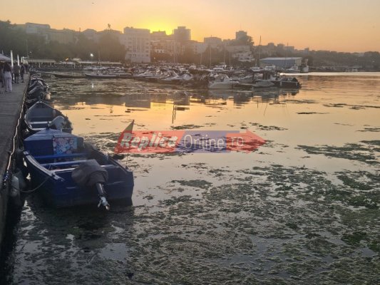 În loc de pâine și sare, cei care vin în Portul Turistic Tomis... sunt întâmpinați cu un morman de alge... care nu fac parte din meniu! Video