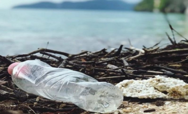 Expunerea la plastic și legătura cu bolile cardiovasculare, cercetată într-un nou studiu