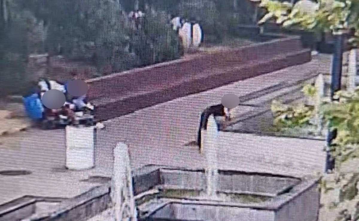 Ce spune Politia Locala despre persoana surprinsa in timp ce se scalda in fantanile arteziene de pe stefan cel Mare?