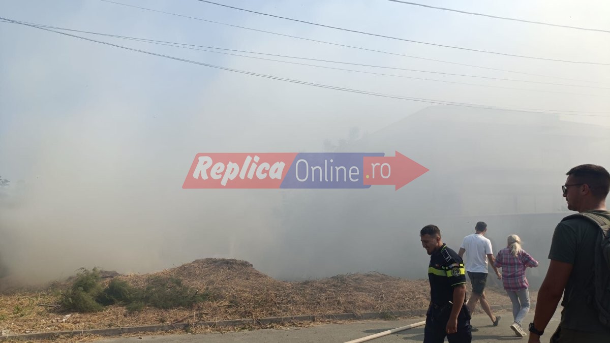Incendiu de vegetatie uscata cu degajari mari de fum la intrare in localitatea Cumpana. Video