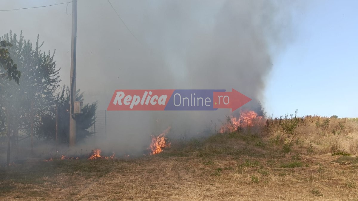 Incendiu de vegetatie uscata cu degajari mari de fum la intrare in localitatea Cumpana. Video Incendiu de vegetatie uscata cu degajari mari de fum la intrare in localitatea Cumpana. Video