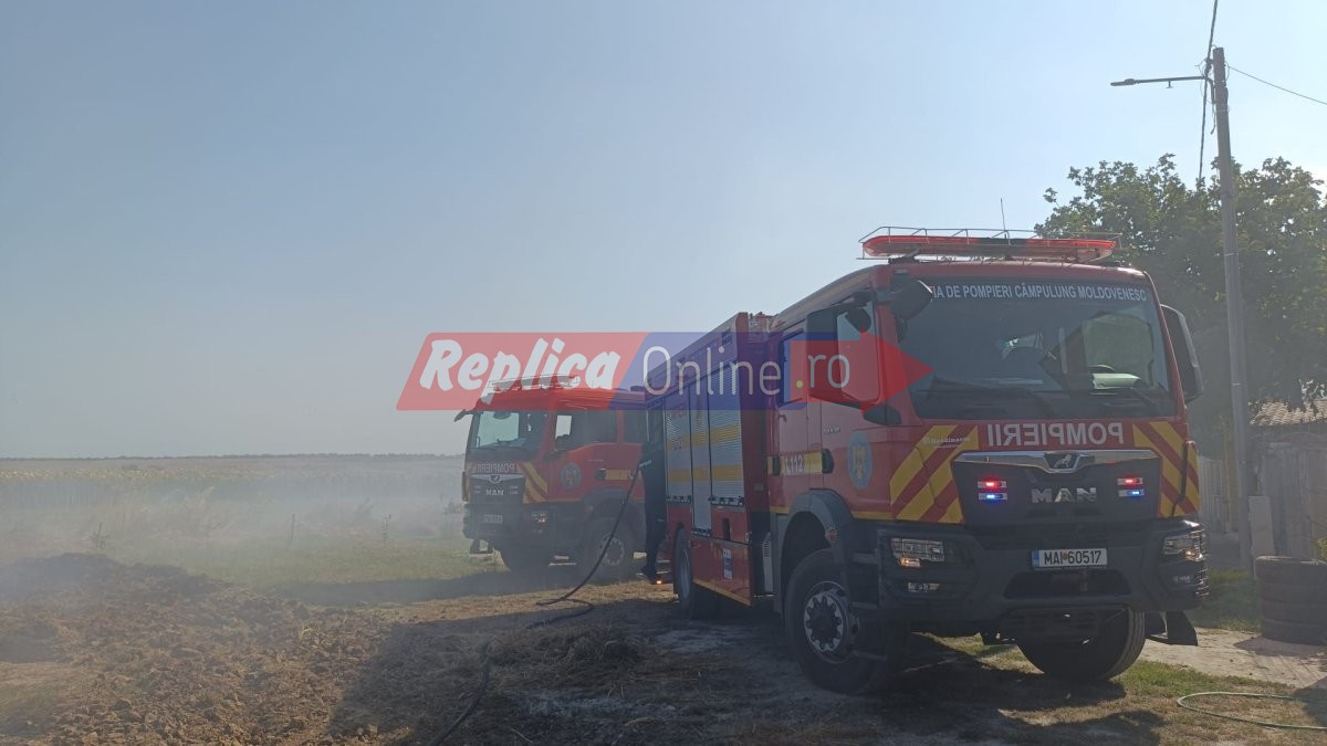 Incendiu de vegetatie uscata cu degajari mari de fum la intrare in localitatea Cumpana. Video