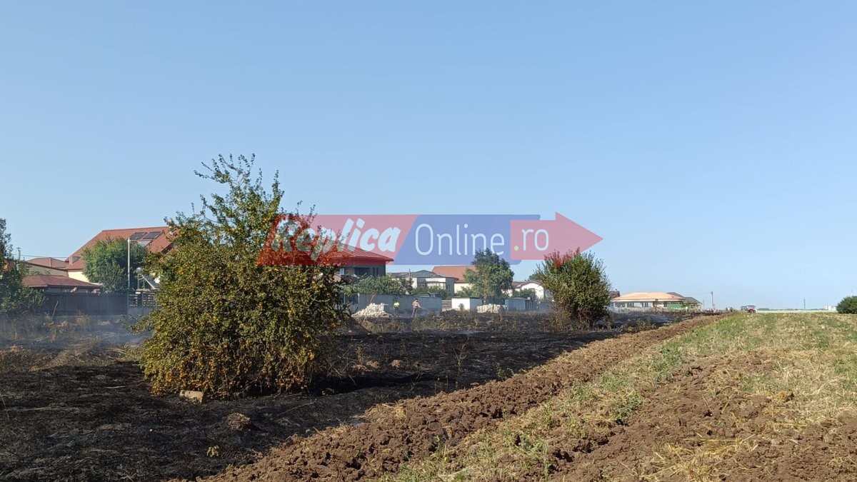 Incendiu de vegetatie uscata cu degajari mari de fum la intrare in localitatea Cumpana. Video Incendiu de vegetatie uscata cu degajari mari de fum la intrare in localitatea Cumpana. Video