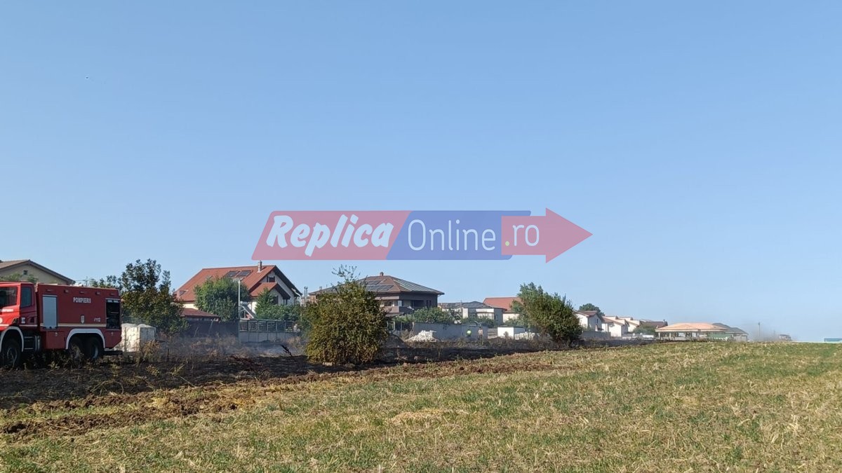 Incendiu de vegetatie uscata cu degajari mari de fum la intrare in localitatea Cumpana. Video