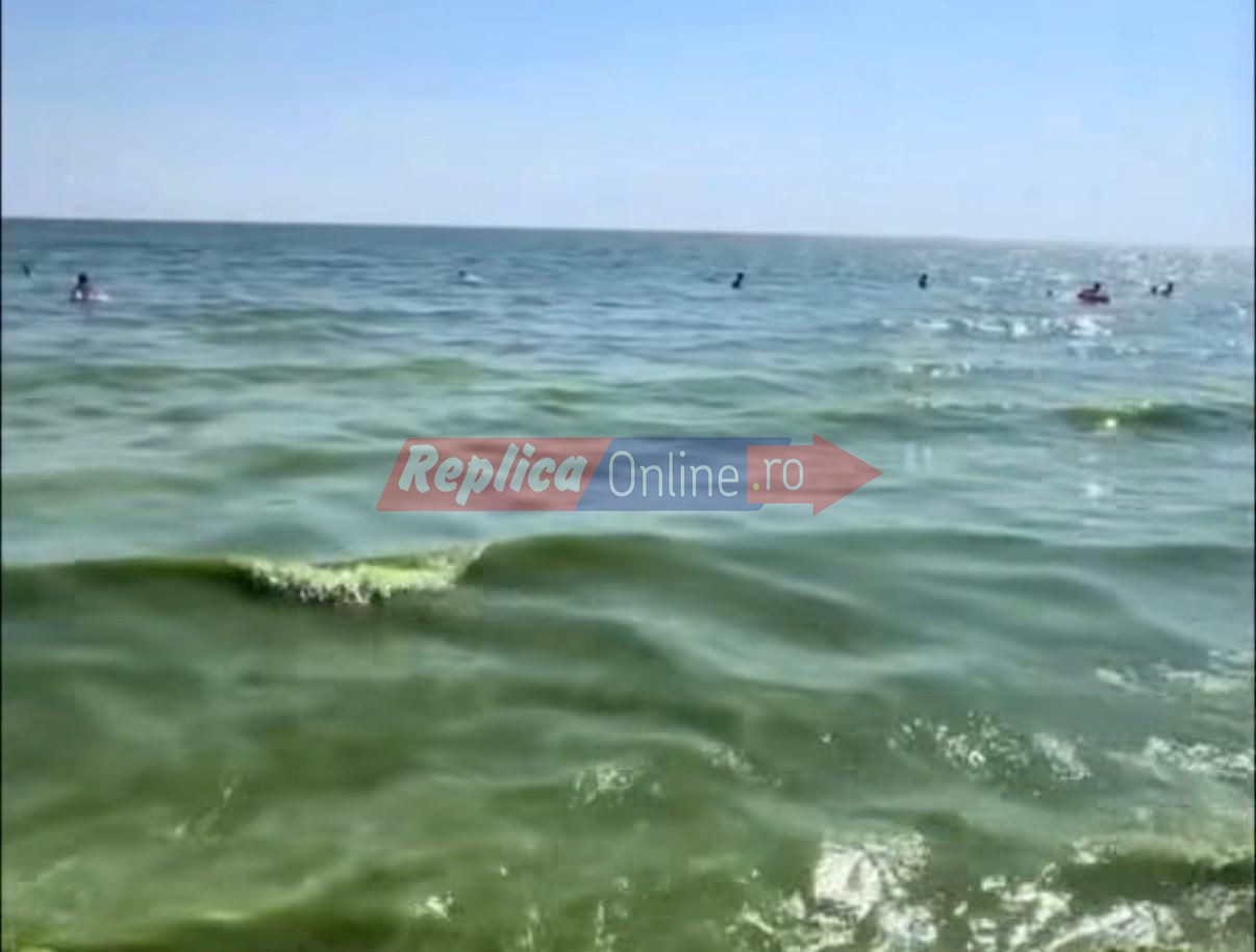 Revolta turistilor din Mamaia  are legatura cu &bdquo;muntii&ldquo; de vegetatie de pe plaja si mirosul greu de suportat. Video 