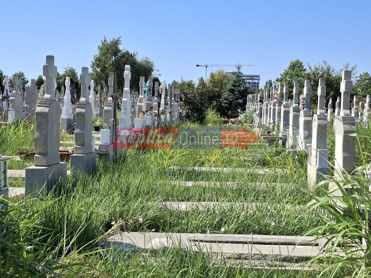 Jungla printre cruci: Cimitirul Municipal Constanta, abandonat si sufocat de buruieni... la loc cu verdeata. Video 