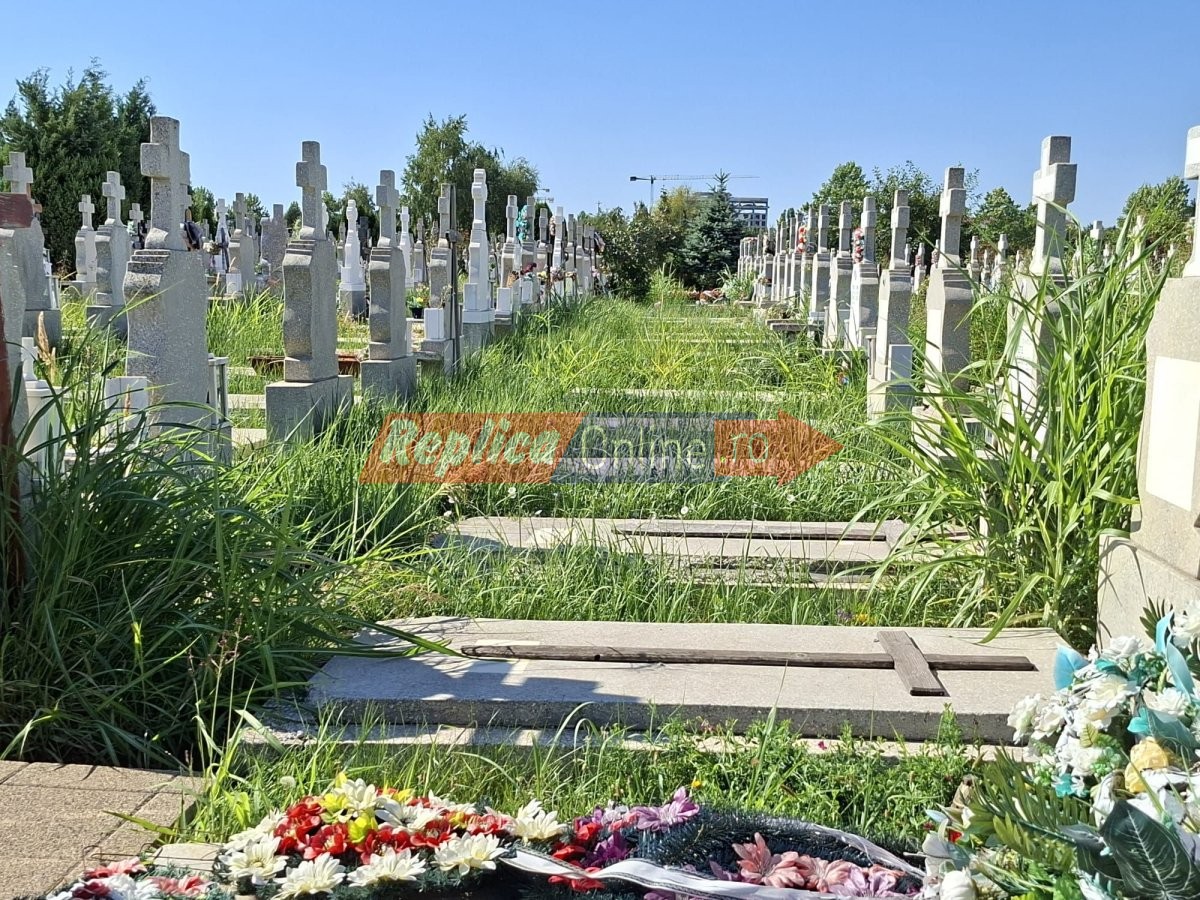 Jungla printre cruci: Cimitirul Municipal Constanta, abandonat si sufocat de buruieni... la loc cu verdeata. Video 