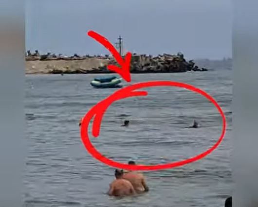 Salvamarii constanteni au salvat doi minori de la inec, pe plaja Belona din statiunea Eforie Nord! Video