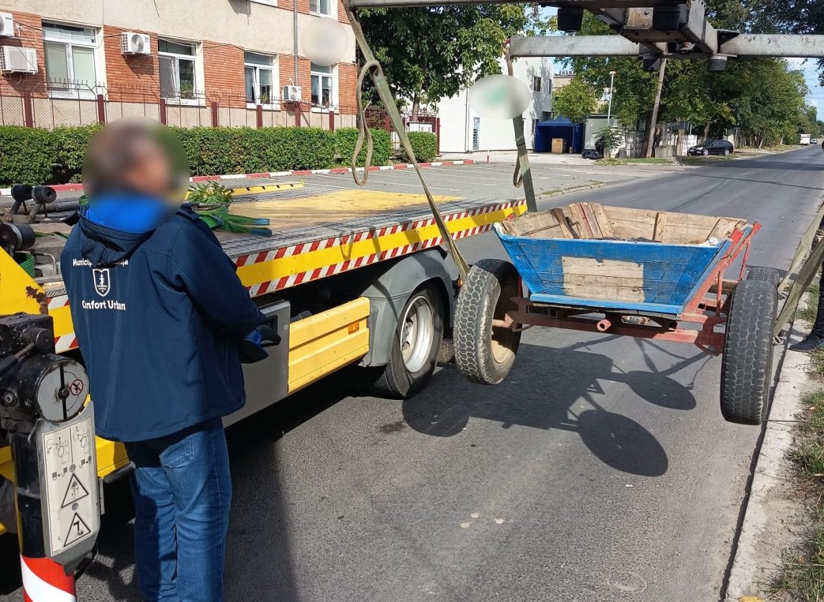 Caruta confiscata de politistii locali pe strada Celulozei din Constanta: Amenda uriasa pentru proprietar