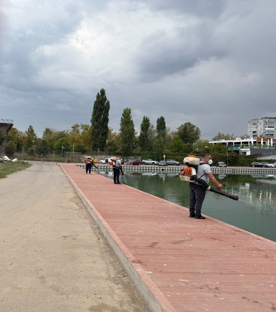 Primaria Constanta continua actiunile de delarvizare, dezinsectie si deratizare
