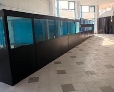 Cum arată Acvariul improvizat în holul Delfinariului până la finalizarea proiectului în valoare de 23 de milioane de euro! Video Cum arată Acvariul improvizat în holul Delfinariului până la finalizarea proiectului în valoare de 23 de milioane de euro! Video
