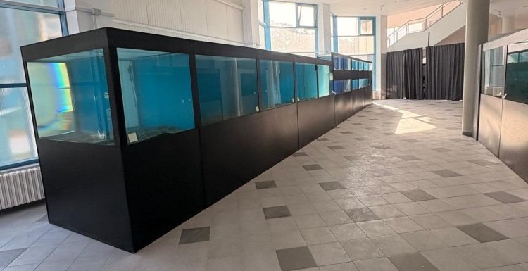 Cum arată Acvariul improvizat în holul Delfinariului până la finalizarea proiectului în valoare de 23 de milioane de euro! Video