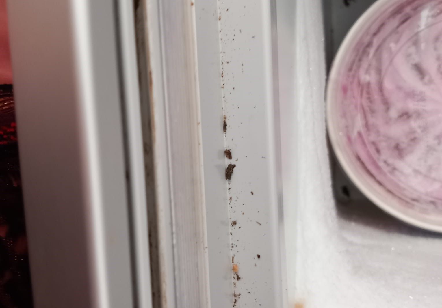 Gandaci, insecte si carne de shaorma tinuta in caldura! Dezastru descoperit de OPC in restaurantele si magazinele din Constanta. Video