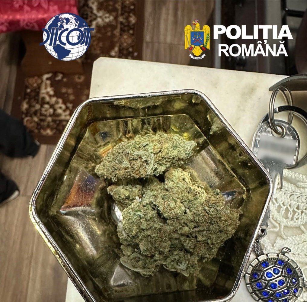 Doua persoane au fost retinute de DIICOT Hunedoara pentru trafic de droguri Doua persoane au fost retinute de DIICOT Hunedoara pentru trafic de droguri