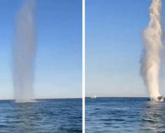 Scafandrii militari, trimiși din nou în Marea Neagră: resturi de dronă descoperite în zona Grindul Chituc Scafandrii militari, trimiși din nou în Marea Neagră: resturi de dronă descoperite în zona Grindul Chituc