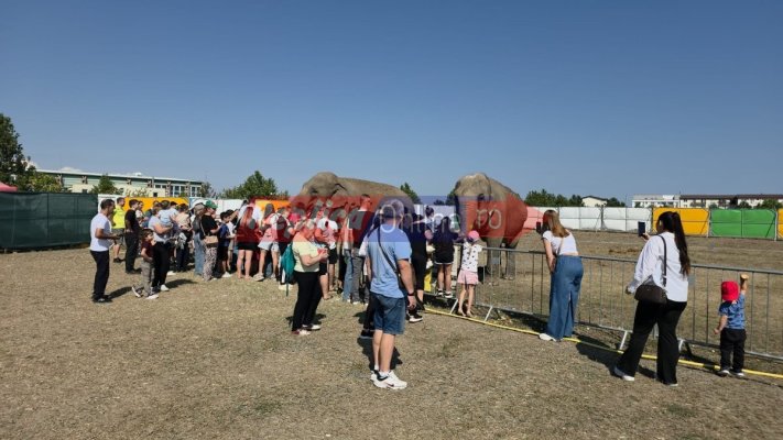Zoo Park România a ajuns la Cumpăna: Singurul loc din țară unde copiii pot hrăni un elefant. Video
