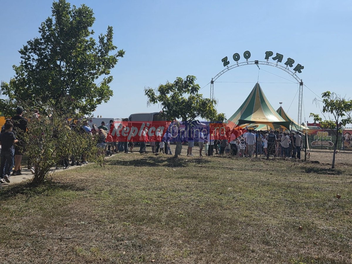 Zoo Park Romania a ajuns la Cumpana: Singurul loc din tara unde copiii pot hrani un elefant. Video Zoo Park Romania a ajuns la Cumpana: Singurul loc din tara unde copiii pot hrani un elefant. Video