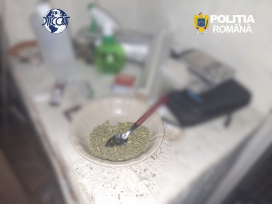 Un bărbat de 26 de ani din Constanța a fost arestat preventiv pentru trafic de droguri