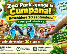 Zoo Park România ajunge la Cumpăna: Singurul loc din țară unde copiii pot hrăni un elefant Zoo Park România ajunge la Cumpăna: Singurul loc din țară unde copiii pot hrăni un elefant