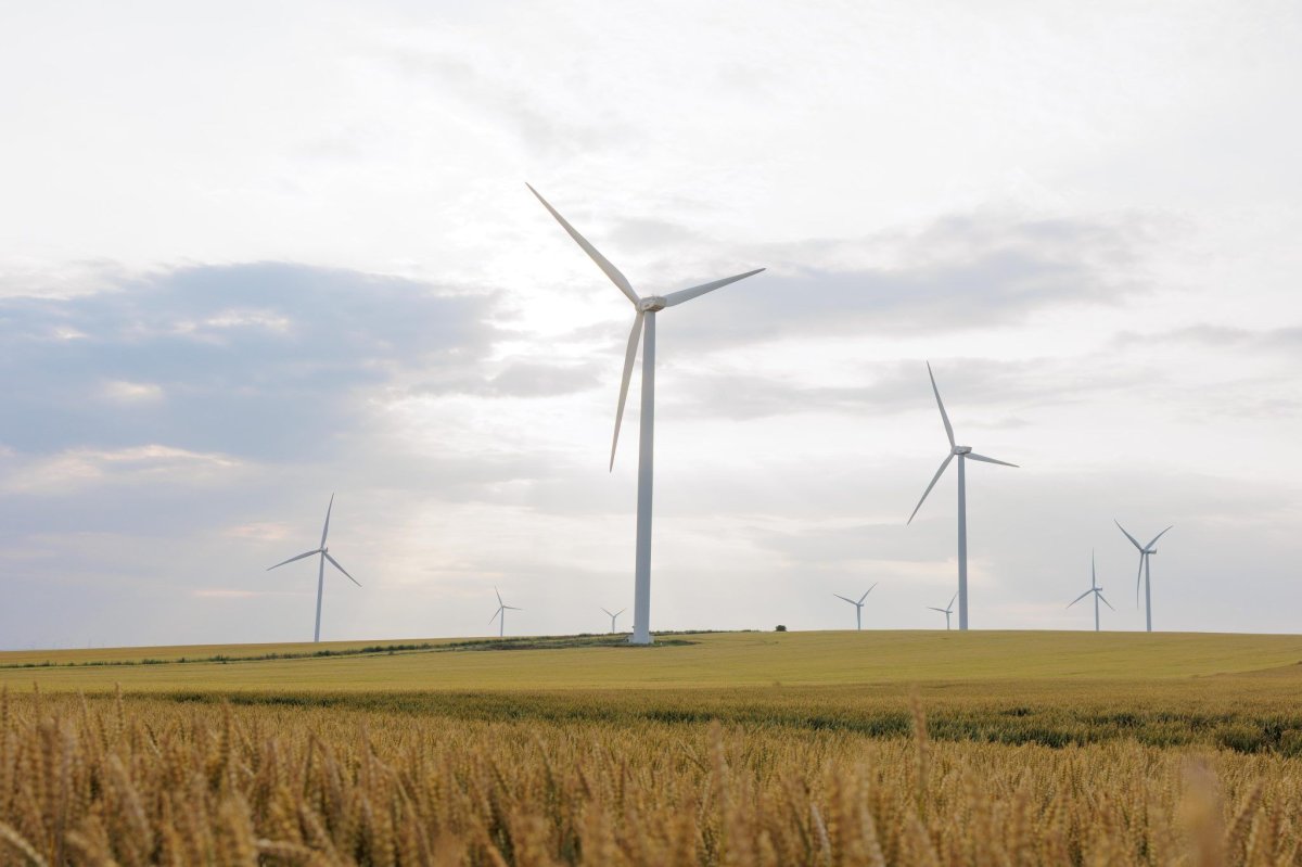 O noua baterie, de 120 MWh, va fi pusa in Dobrogea de PPC la un parc eolian operational O noua baterie, de 120 MWh, va fi pusa in Dobrogea de PPC la un parc eolian operational
