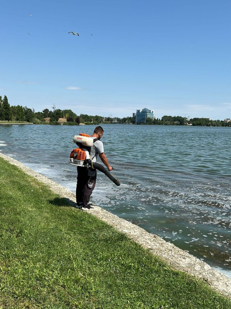 Actiuni de delarvizare si dezinsectie in municipiul Constanta si statiunea Mamaia Actiuni de delarvizare si dezinsectie in municipiul Constanta si statiunea Mamaia