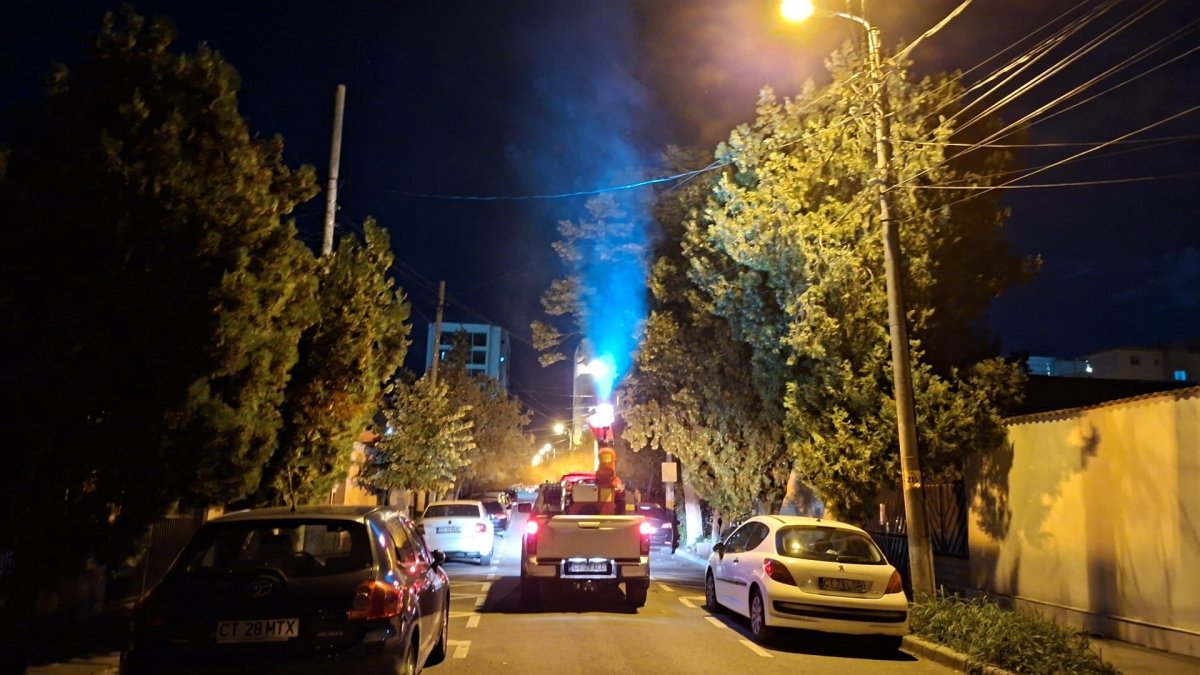 Dezinsectie in municipiul Constanta si statiunea Mamaia. Ce masuri de siguranta trebuie luate in serile de 29 si 30 septembrie