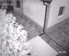 Explozie puternică lângă Chișinău: „A fost însoţită de un focar, de o lumină puternică!”. Video Explozie puternică lângă Chișinău: „A fost însoţită de un focar, de o lumină puternică!”. Video
