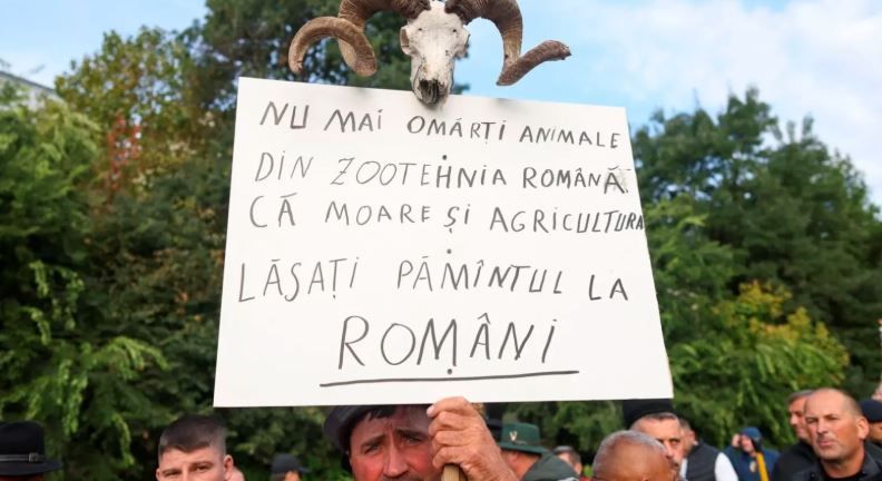 Fermierii s-au dus la Ministerul Agriculturii: &bdquo;Avem probleme grave care nu mai sufera amanare&rdquo;