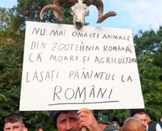 Fermierii s-au dus la Ministerul Agriculturii: „Avem probleme grave care nu mai suferă amânare”