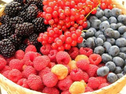 Un compus natural din struguri și fructe de pădure ar putea ajuta mușchii să „ardă“ grăsimile