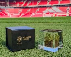 Manchester United vinde bucăţi din gazonul de pe Old Trafford la preţul de 125 de lire sterline Manchester United vinde bucăţi din gazonul de pe Old Trafford la preţul de 125 de lire sterline