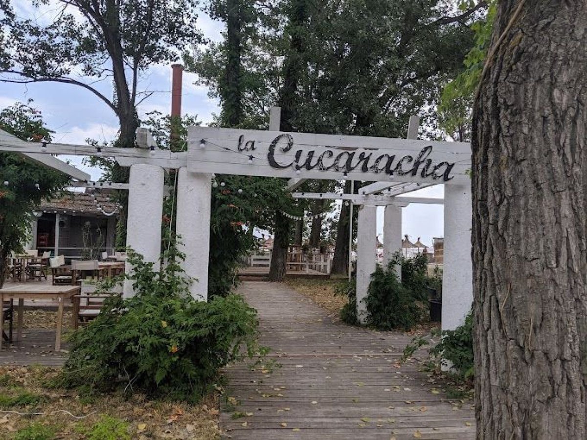 Razboiul de la clubul ”La Cucaracha” dintre ANAF si sora fostului prefect Culetu a fost blocat de Tribunalul Constanta Razboiul de la clubul ”La Cucaracha” dintre ANAF si sora fostului prefect Culetu a fost blocat de Tribunalul Constanta