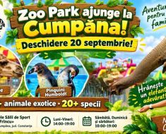 Zoo Park România ajunge la Cumpăna: Singurul loc din țară unde copiii pot hrăni un elefant Zoo Park România ajunge la Cumpăna: Singurul loc din țară unde copiii pot hrăni un elefant