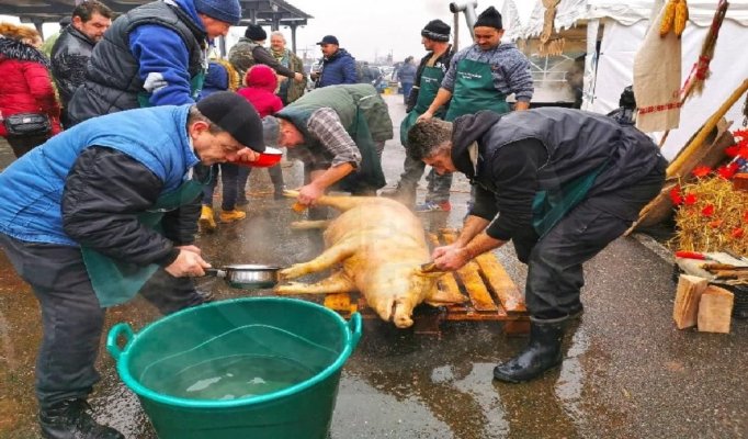 Sărbători cu risc în farfurie! Cum funcționează piața neagră a porcinelor în Constanța și ce amenzi riscă gospodarii