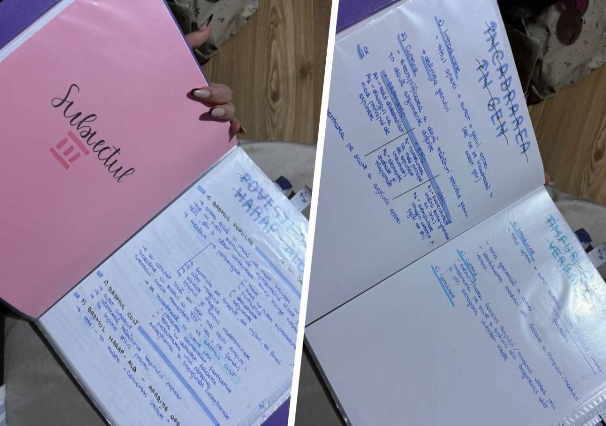 Absolventii de liceu isi scot notitele la vanzare. Cat costa „materia pentru BAC gata facuta”? Absolventii de liceu isi scot notitele la vanzare. Cat costa „materia pentru BAC gata facuta”?