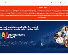 Blocaj pentru angajatorii care aduc muncitori străini în România. Platforma WorkinRomania a fost dezactivată