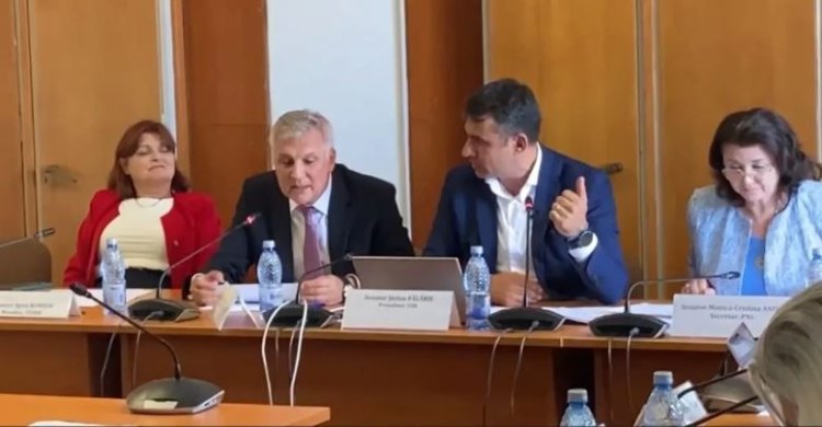 Dispută în Senat, între Daniel Zamfir și Ștefan Pălărie: „Sunteți visător, vreți să vă remarcați pe TikTok”. Video
