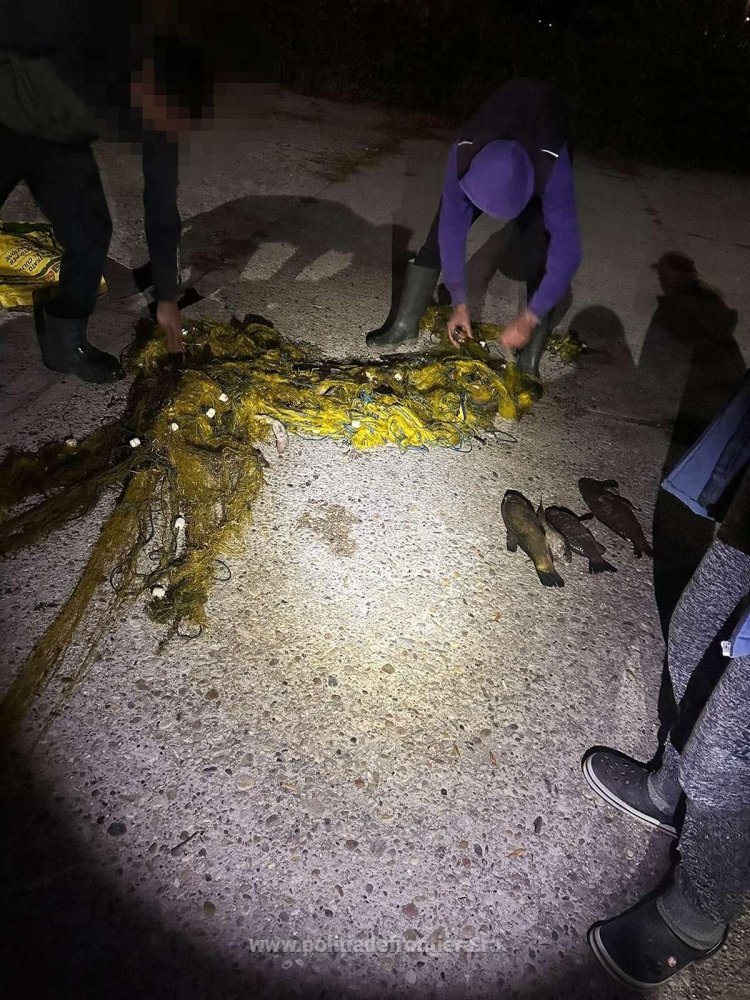 Peste 70 de kilograme de peste si aproximativ 320 de metri de plase de pescuit, confiscate de politistii de frontiera Peste 70 de kilograme de peste si aproximativ 320 de metri de plase de pescuit, confiscate de politistii de frontiera