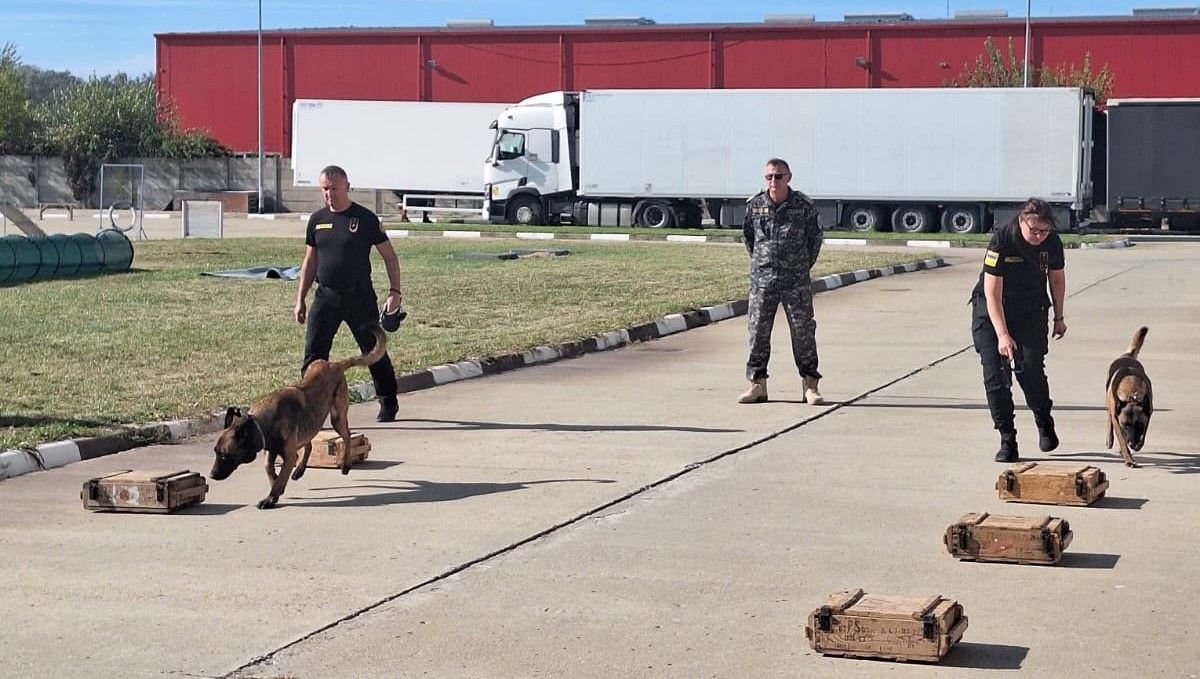 Pregatite in Romania, 7 echipe canine vor actiona la granitele Ucrainei impotriva contrabandei Pregatite in Romania, 7 echipe canine vor actiona la granitele Ucrainei impotriva contrabandei